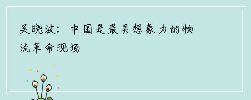 吴晓波：中国是最具想象力的物流革命现场