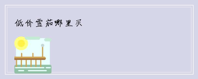 低价雪茄哪里买