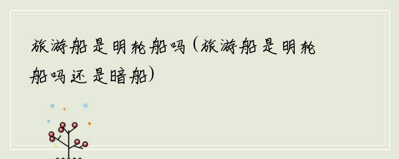 旅游船是明轮船吗(旅游船是明轮船吗还是暗船)