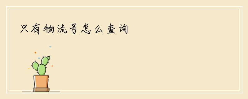 只有物流号怎么查询