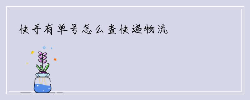 快手有单号怎么查快递物流