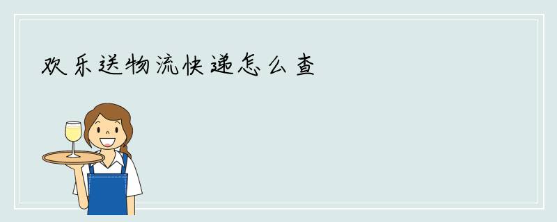 欢乐送物流快递怎么查