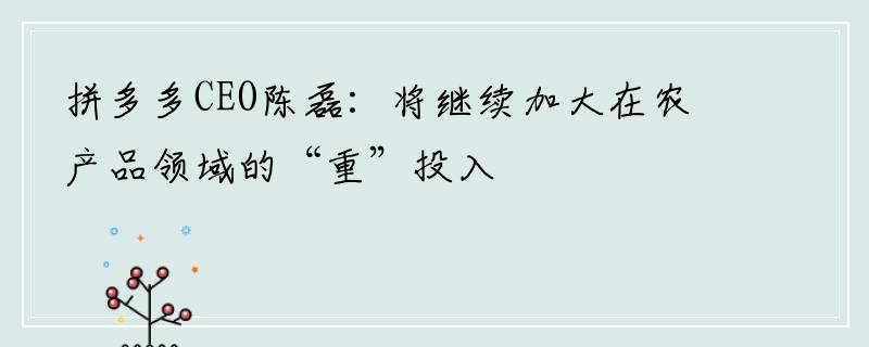 拼多多CEO陈磊：将继续加大在农产品领域的“重”投入