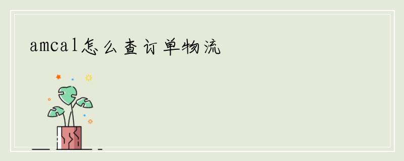 amcal怎么查订单物流