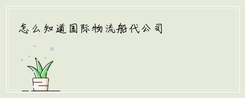 怎么知道国际物流船代公司