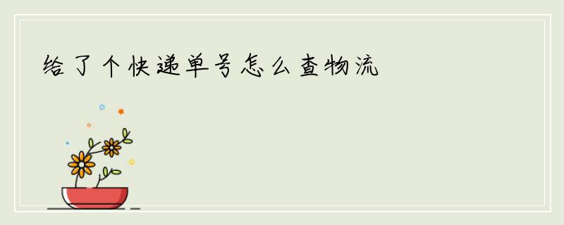 给了个快递单号怎么查物流