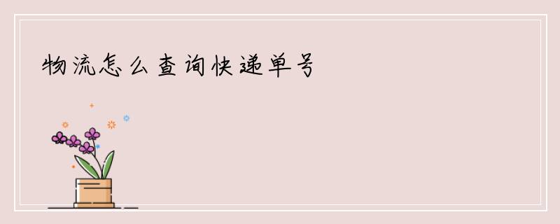 物流怎么查询快递单号