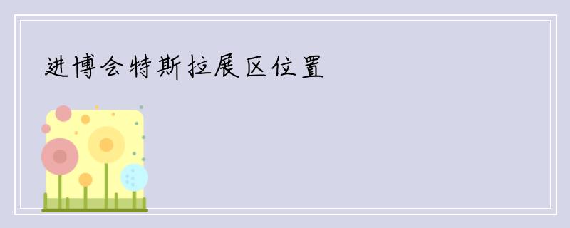 进博会特斯拉展区位置