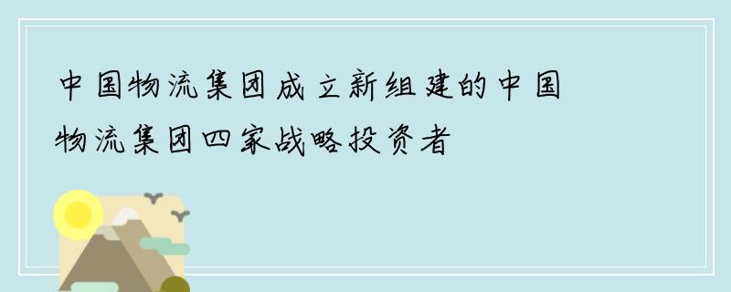 中国物流集团成立新组建的中国物流集团四家战略投资者