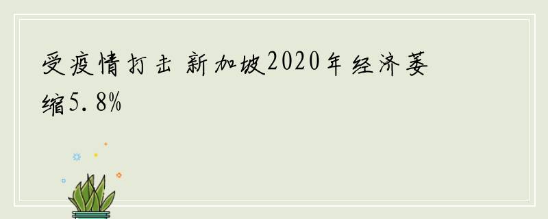 受疫情打击 新加坡2020年经济萎缩5.8%