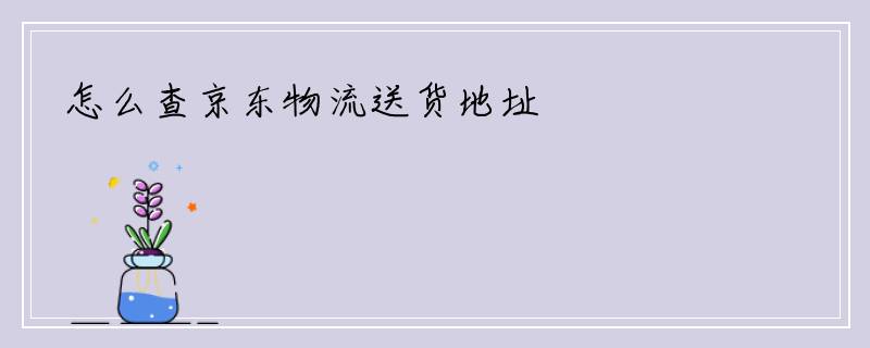 怎么查京东物流送货地址