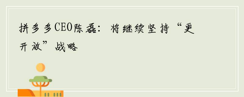 拼多多CEO陈磊：将继续坚持“更开放”战略