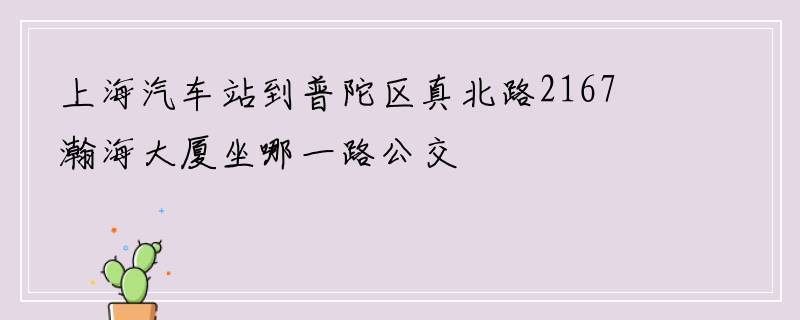 上海汽车站到普陀区真北路2167瀚海大厦坐哪一路公交