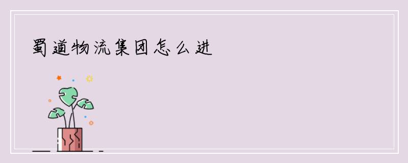 蜀道物流集团怎么进