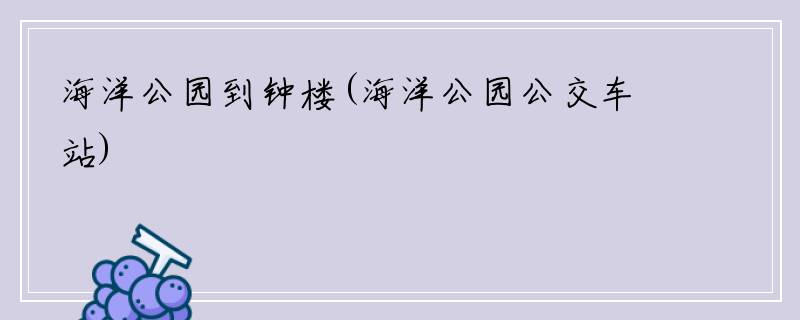 海洋公园到钟楼(海洋公园公交车站)