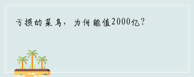 亏损的菜鸟，为何能值2000亿？