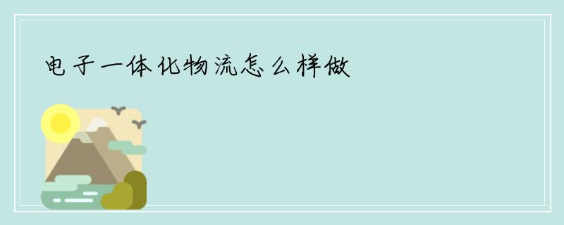 电子一体化物流怎么样做