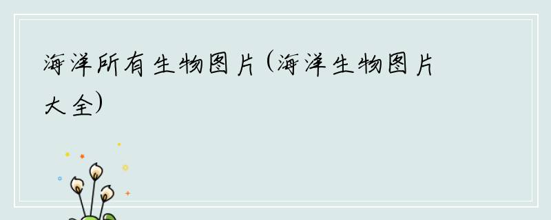 海洋所有生物图片(海洋生物图片大全)
