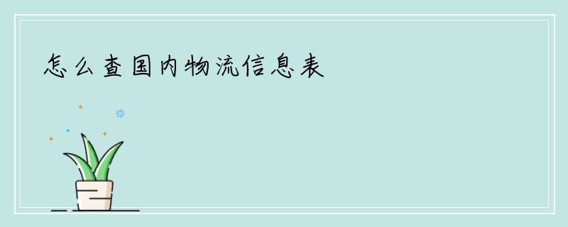 怎么查国内物流信息表
