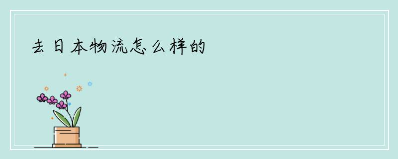 去日本物流怎么样的