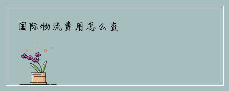 国际物流费用怎么查