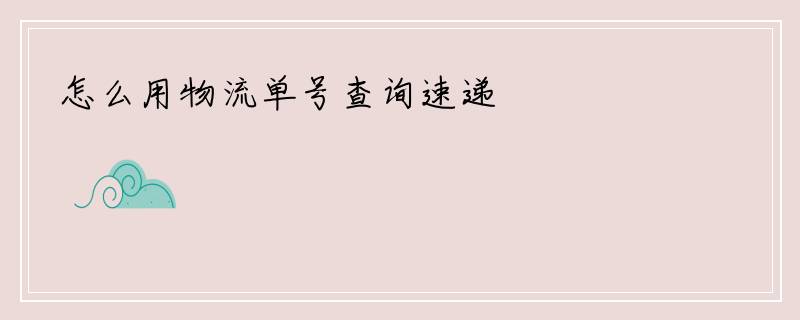 怎么用物流单号查询速递