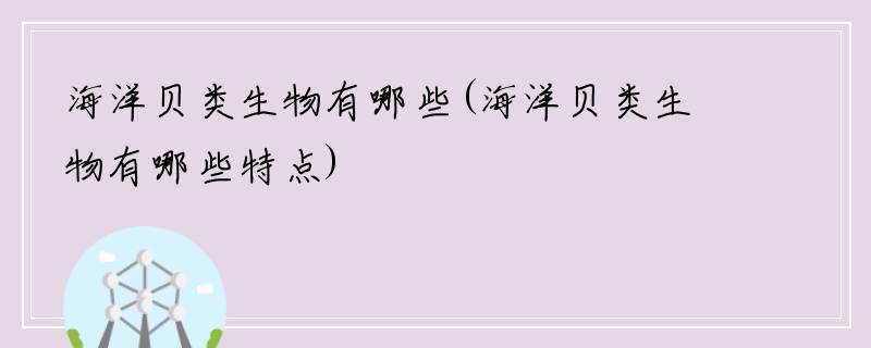 海洋贝类生物有哪些(海洋贝类生物有哪些特点)
