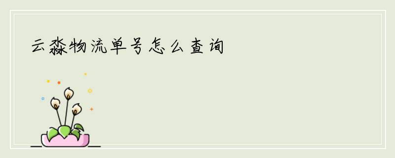 云淼物流单号怎么查询