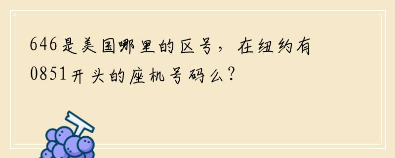 646是美国哪里的区号，在纽约有0851开头的座机号码么？