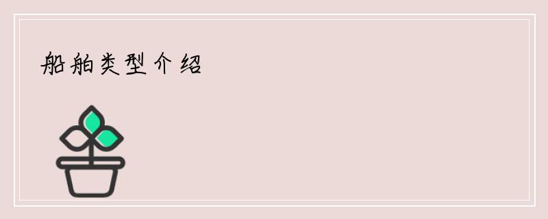 船舶类型介绍