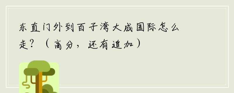 东直门外到百子湾大成国际怎么走？（高分，还有追加）