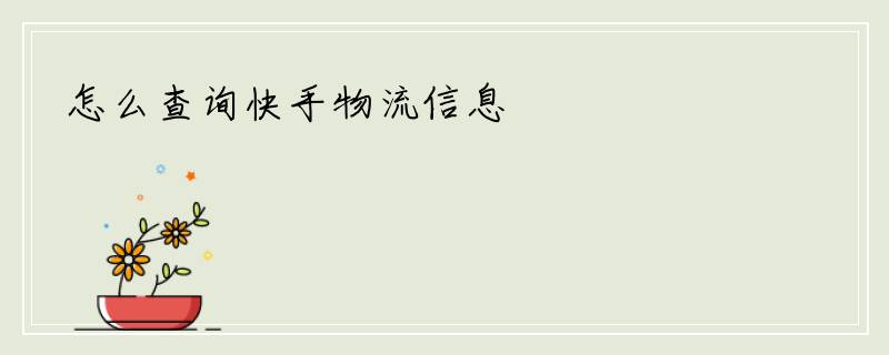 怎么查询快手物流信息