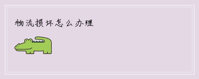 物流损坏怎么办理