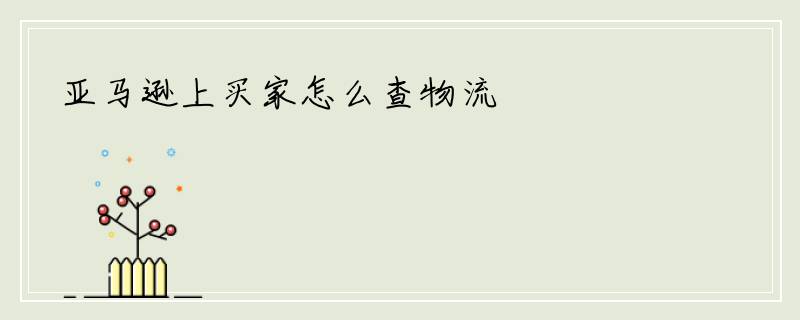 亚马逊上买家怎么查物流