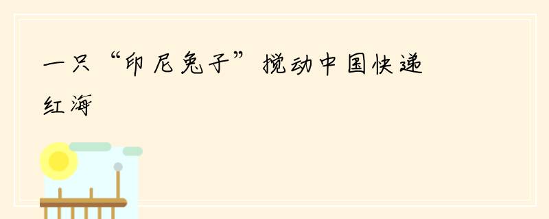 一只“印尼兔子”搅动中国快递红海