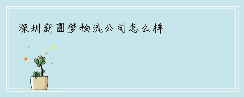深圳新圆梦物流公司怎么样