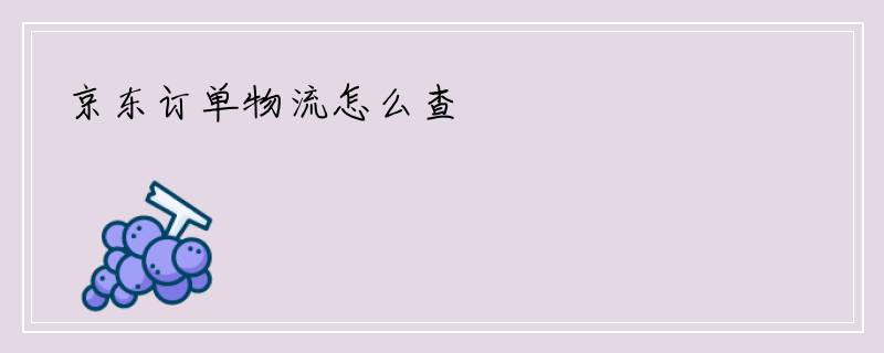 京东订单物流怎么查