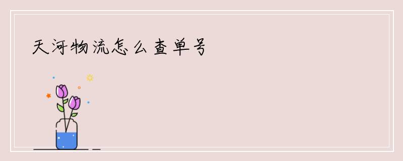 天河物流怎么查单号