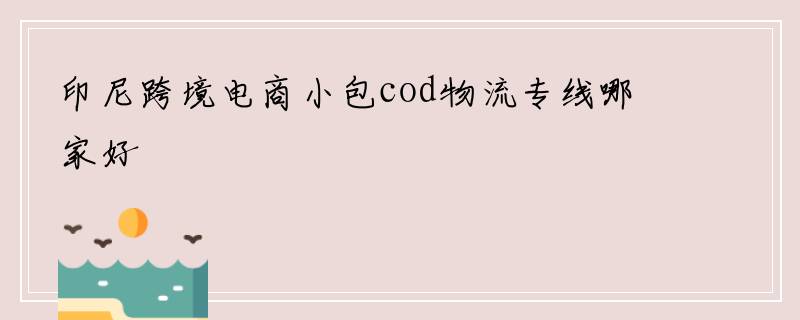印尼跨境电商小包cod物流专线哪家好