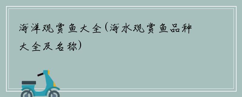 海洋观赏鱼大全(海水观赏鱼品种大全及名称)