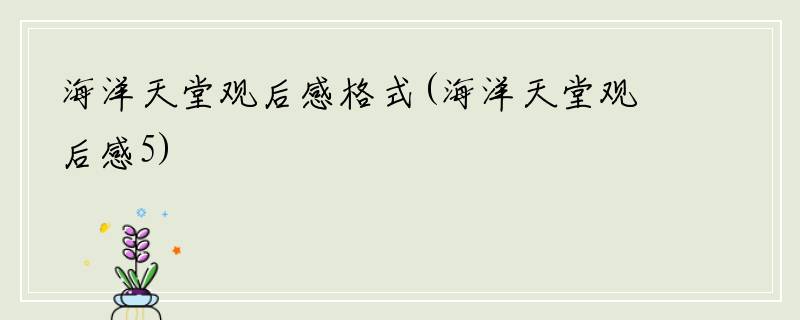 海洋天堂观后感格式(海洋天堂观后感5)