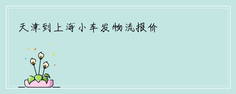 天津到上海小车发物流报价