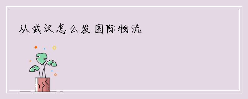 从武汉怎么发国际物流