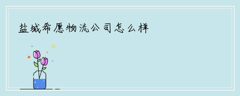 盐城希愿物流公司怎么样