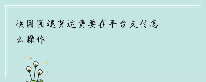 快团团退货运费要在平台支付怎么操作