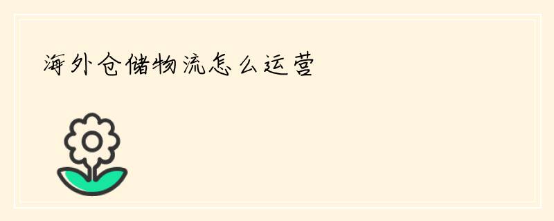海外仓储物流怎么运营