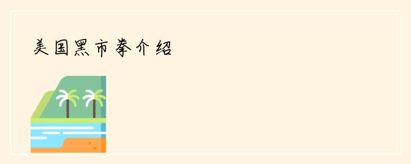 美国黑市拳介绍