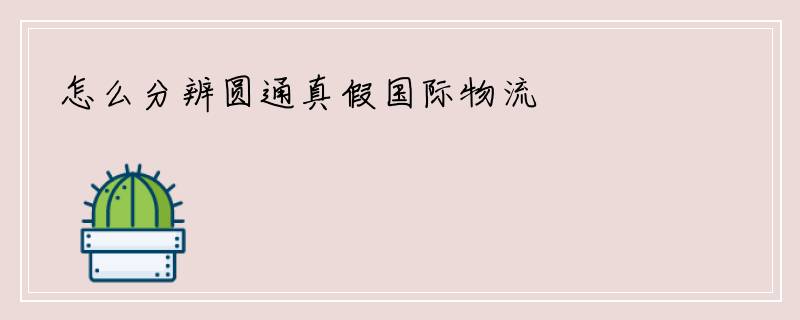 怎么分辨圆通真假国际物流