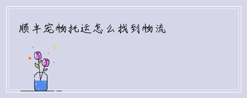 顺丰宠物托运怎么找到物流