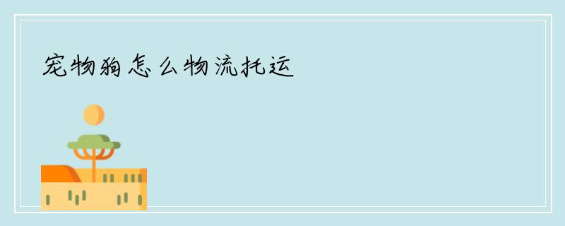宠物狗怎么物流托运